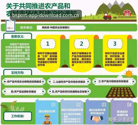 B体育应用下载最新动态：用户高频问题全解析，确认正版渠道的实用指南